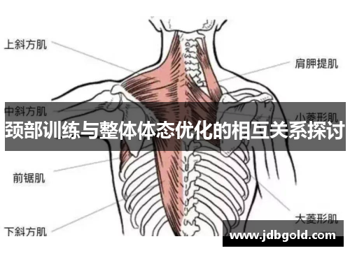 颈部训练与整体体态优化的相互关系探讨